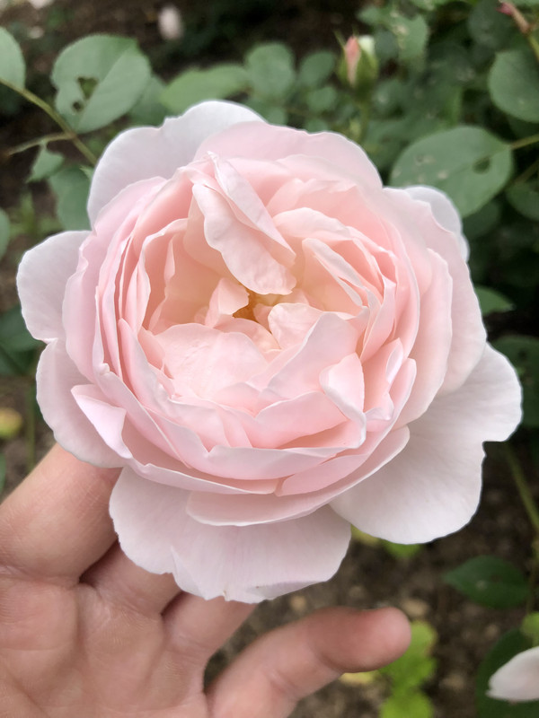 445B4E63-A8C5-425B-A097-DE8790F785A0