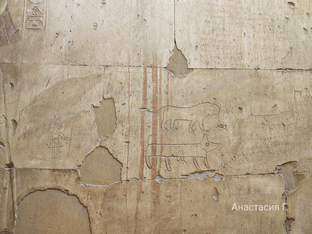 Ленивый Египет (Хургада, Луксор, Каир), декабрь 2025 - январь 2026