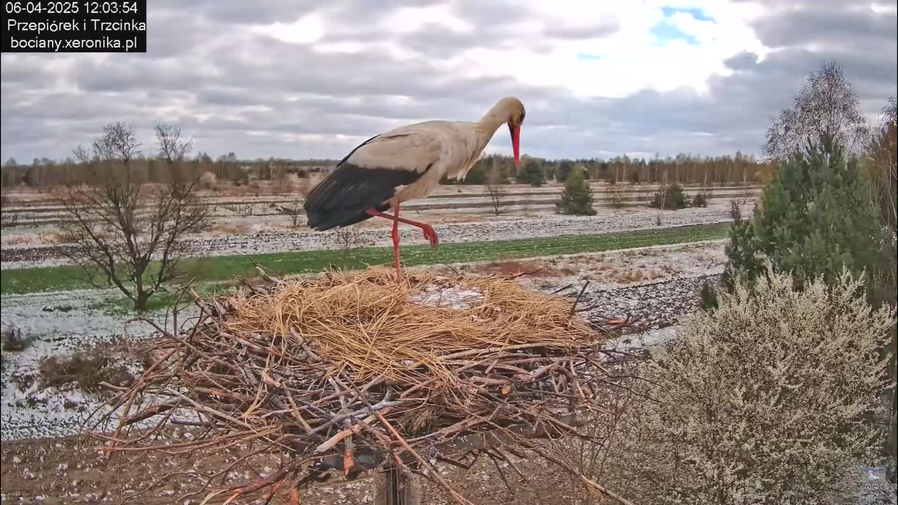06042025minutazbocianem_13