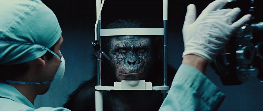 Rise of the Planet of the Apes 2011 WebRip [Hindi + Tamil + Telugu + English] 480p, 720p, 1080p ESub Screenshot