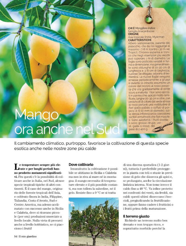 Il Mio Giar GIu-Lug 2022 (9)