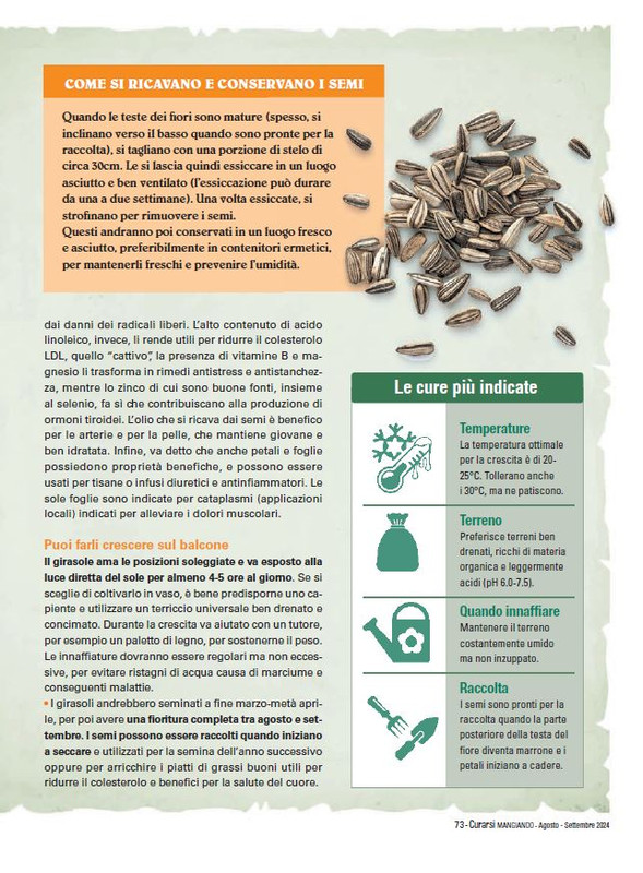 Cur Mang Ago-Set 2024 (12)