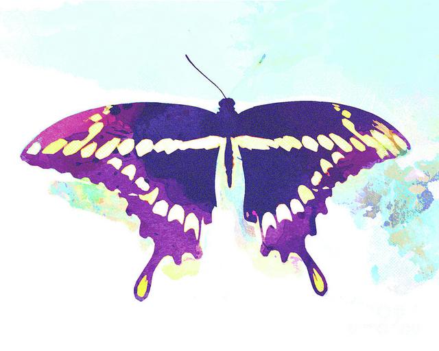Abstract Watercolor Butterfiles Abstract Watercolor Butterfiles