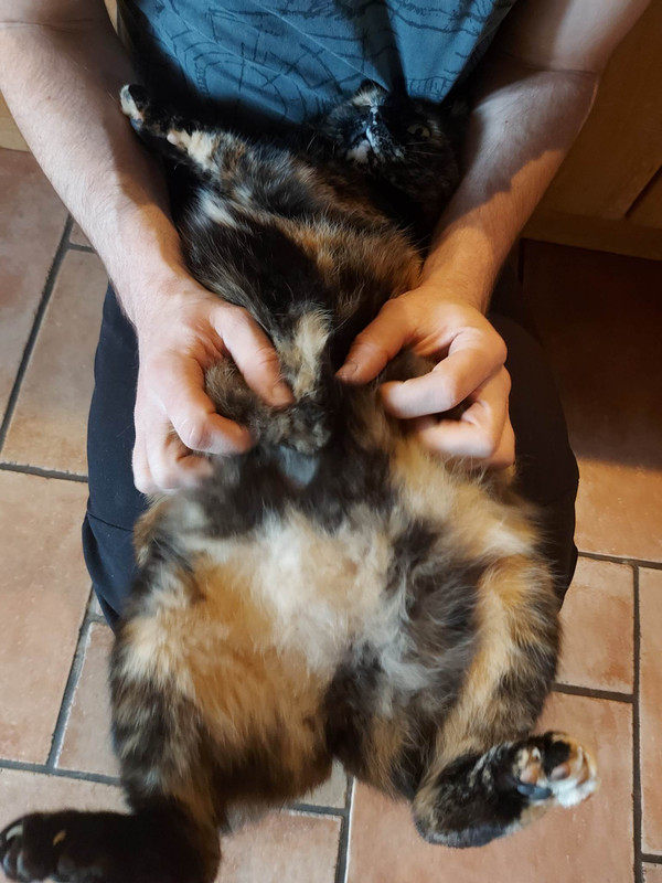 received_277241784758801