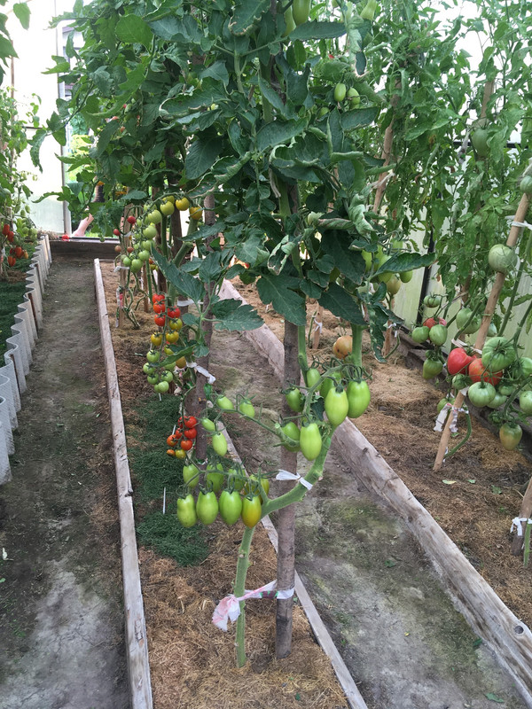 C963EE08-B0E5-4C03-B8C5-991C29889388