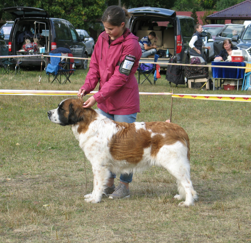 017 ЗЛАТО ЕКАТЕРИНЫ ФАНТАСТИКА