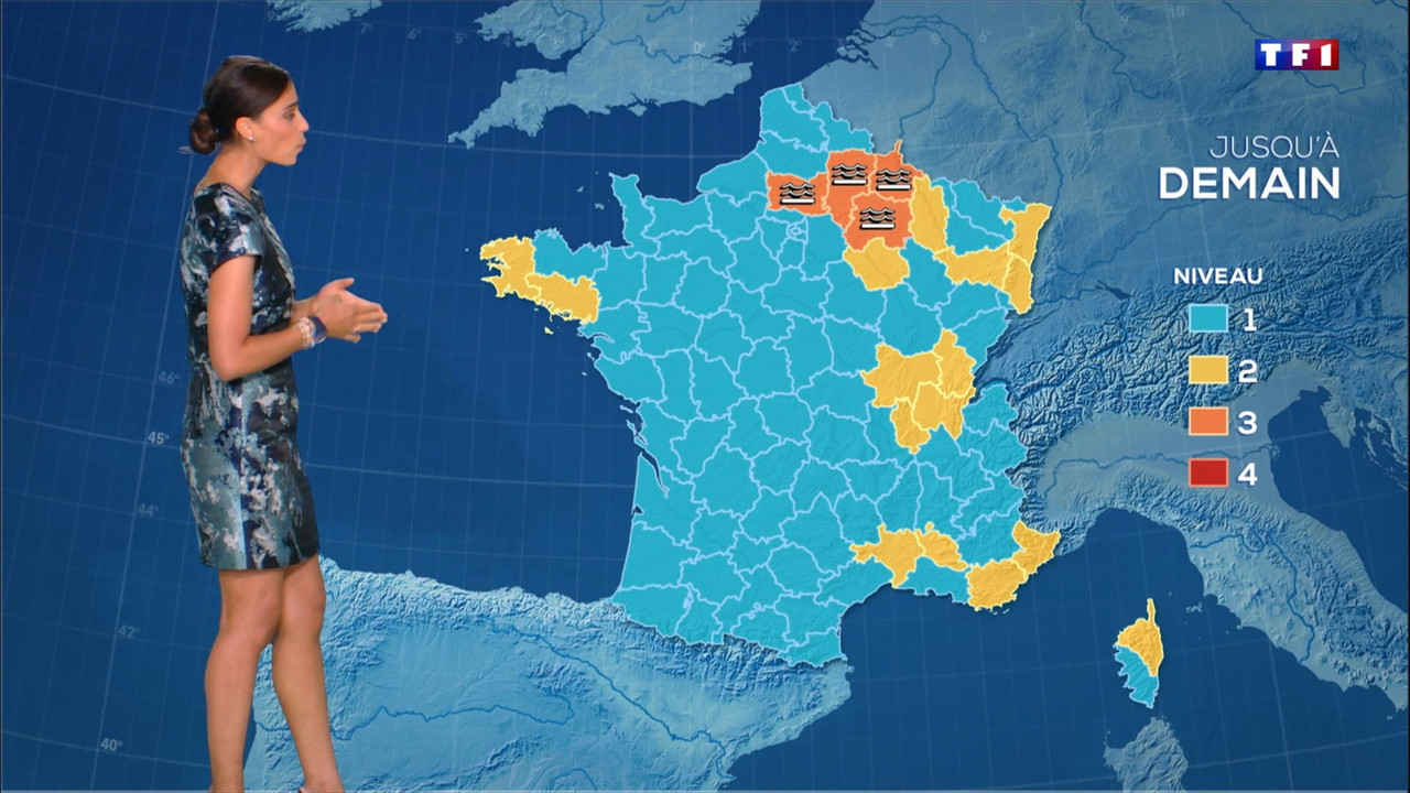 2021-07-21_20_00_TF1_Le-20h.mp4_snapshot_00.01.40.698