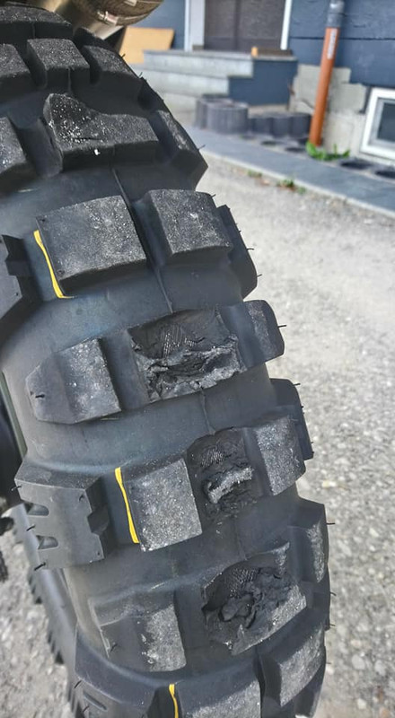 40330442_10217134643667328_644877730197798912_n