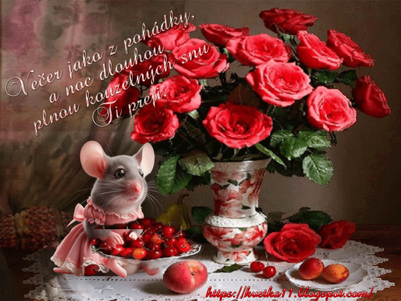 Vecer-jako-z-pohadky-(2)