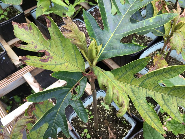 F5B5631E-8B88-442E-8AA2-633D430BAE12