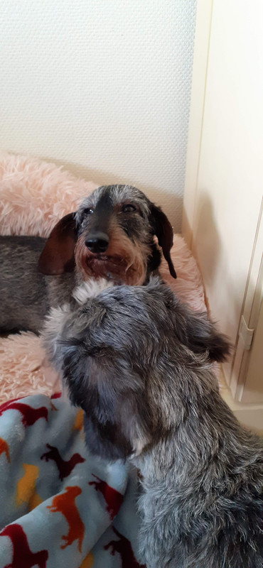 [Image: 20240531-133631.jpg]