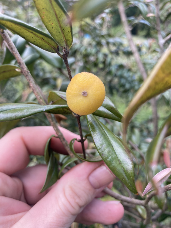 7ECACA73-969C-49AB-A75B-82ACADAE4FC2