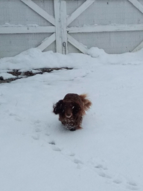 [Image: IMG-20220402-184812.jpg]