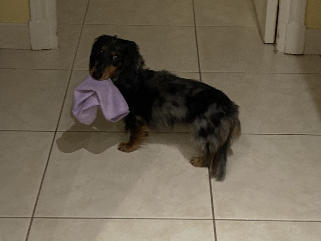 [Image: IMG-4107.jpg]