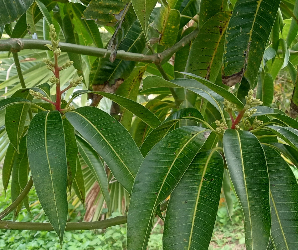 IMG_20240211_115818884_HDR~2