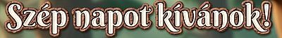 https://i.postimg.cc/SR4S8kgY/szep-napot-kivanok2.jpg