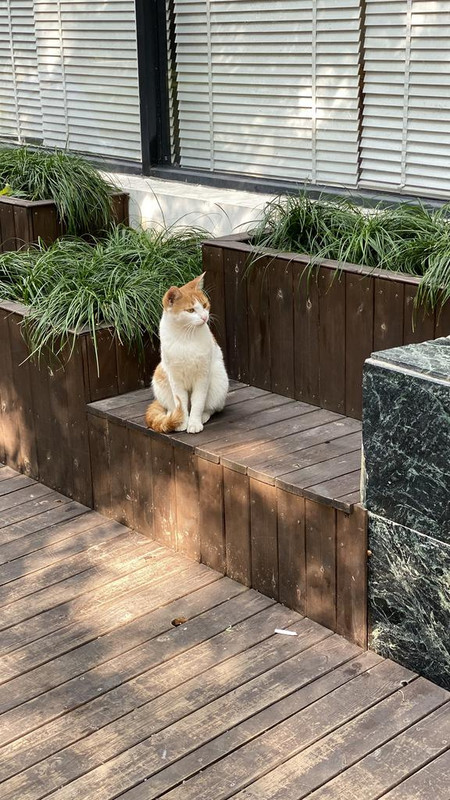 63-D0-EB21-CF4-D-4882-9154-C1-D1-BD71-C7-B3