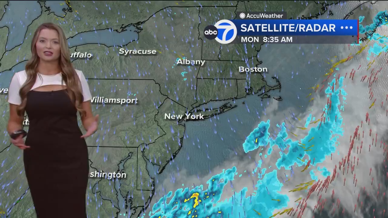 Eyewitness News Mornings at 10_20240701_15001600.ts_snapshot_00.18.03.037