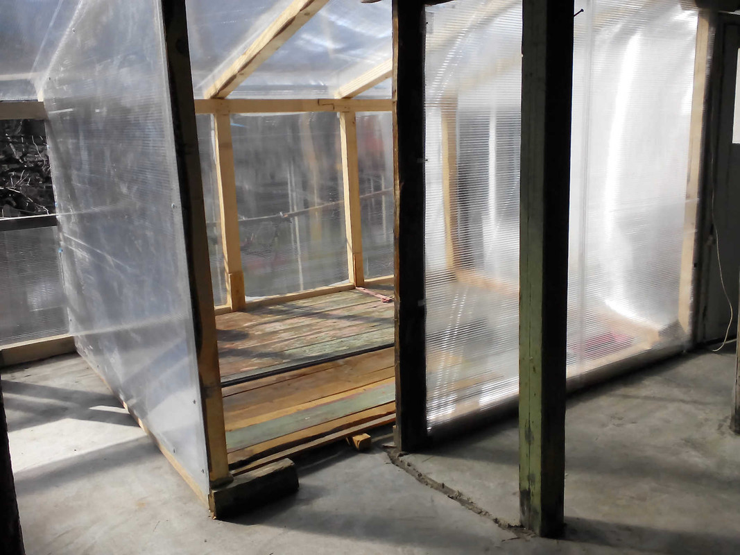 greenhouse1