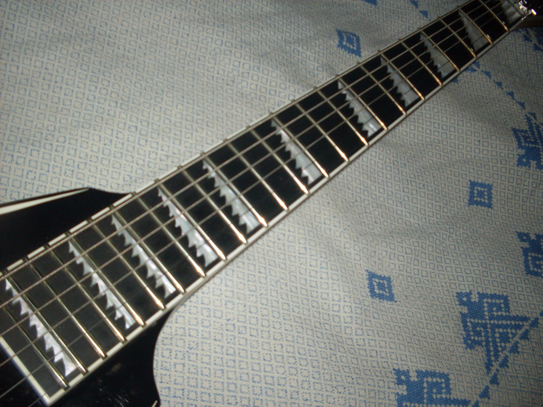 SDC10008