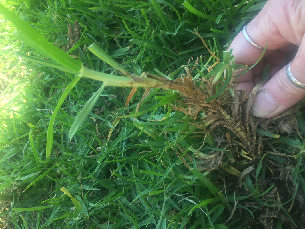 B52B8133-2B34-4630-9399-101366B47062