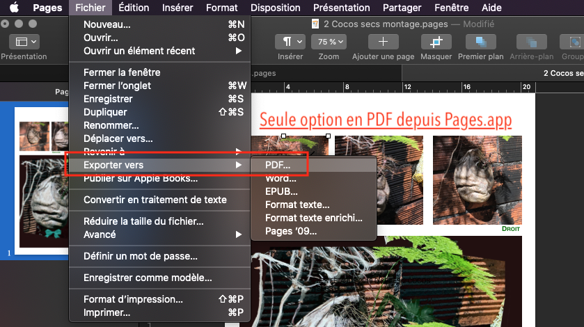Pages.app que PDF?