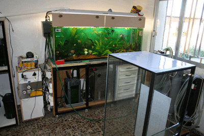 IMG_3679-400.gif