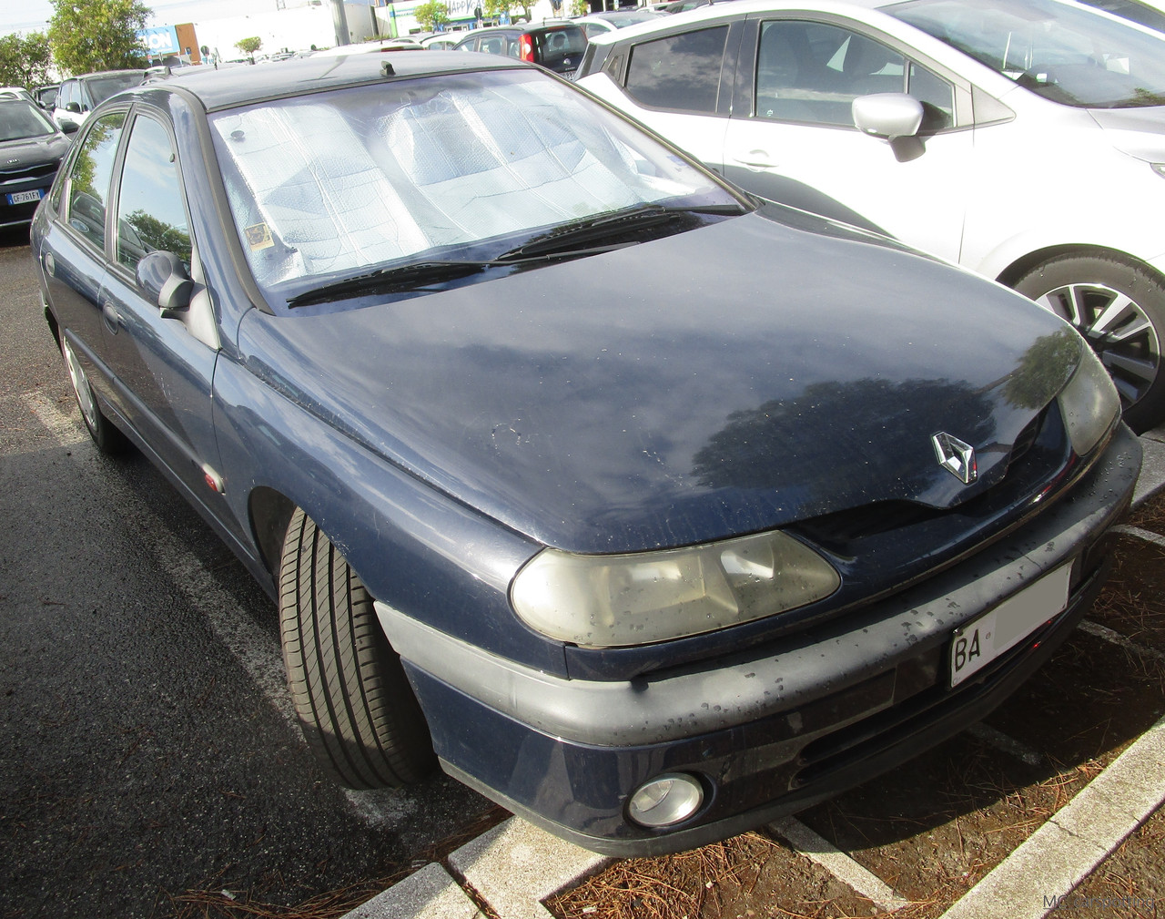 IMG-8644.jpg