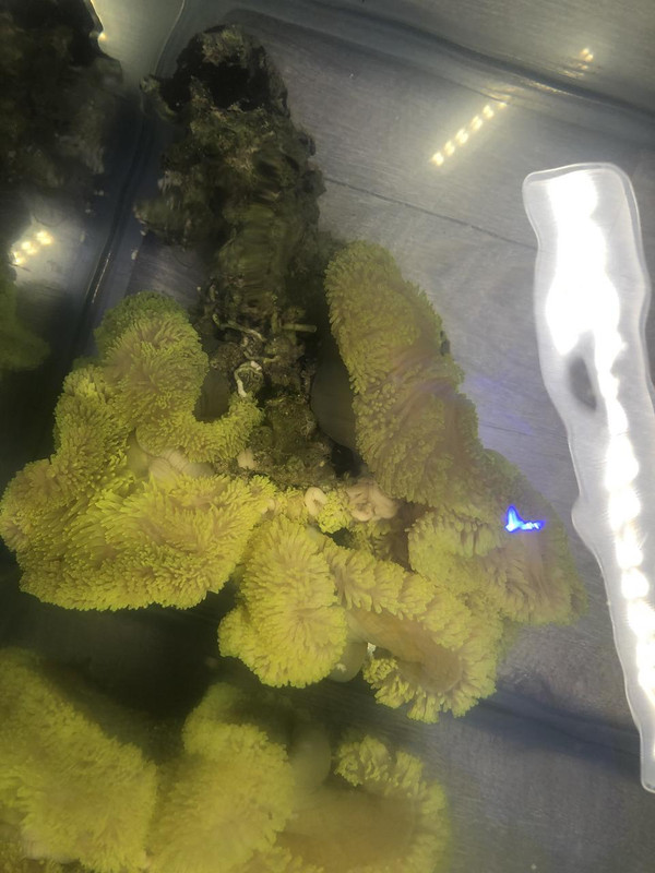 F974C0ED-52F5-47D0-8B2A-FBA3DCAC4BF8