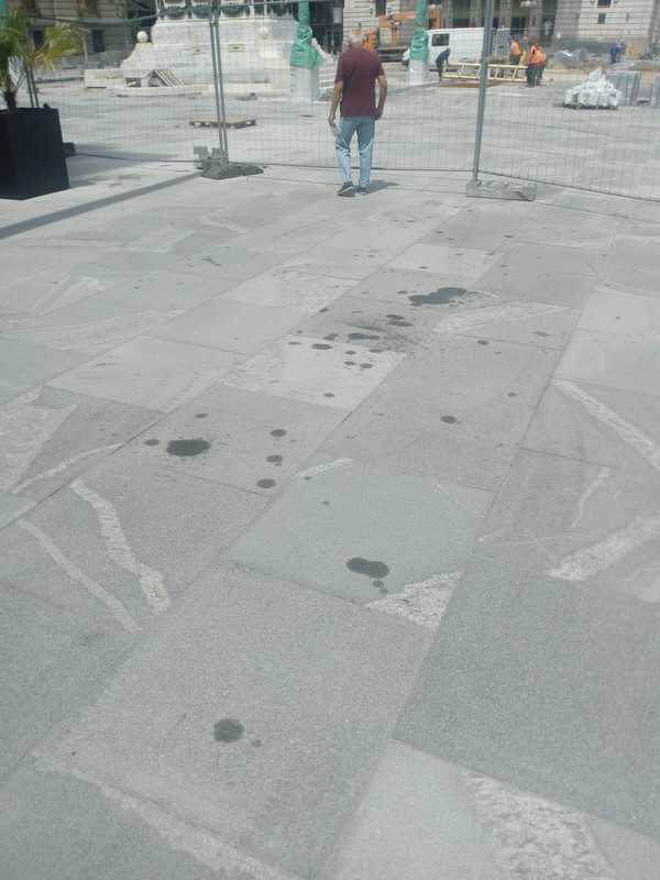 IMG-20190612-140208.jpg