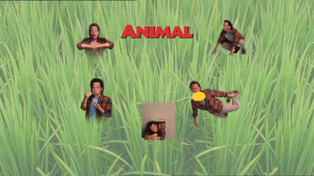 vlcsnap-2019-01-08-09h00m14s990