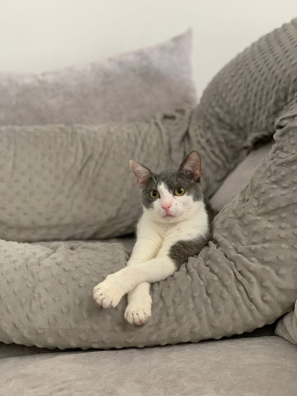 C83DFEBE-AAD4-4199-A132-B3236EA4703F