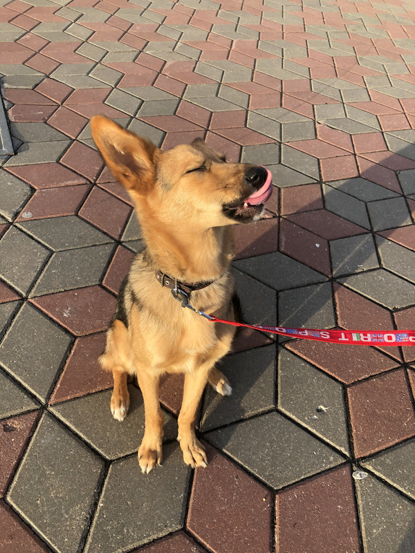 68D53C2E-D597-4C06-968A-BB8F7F937854