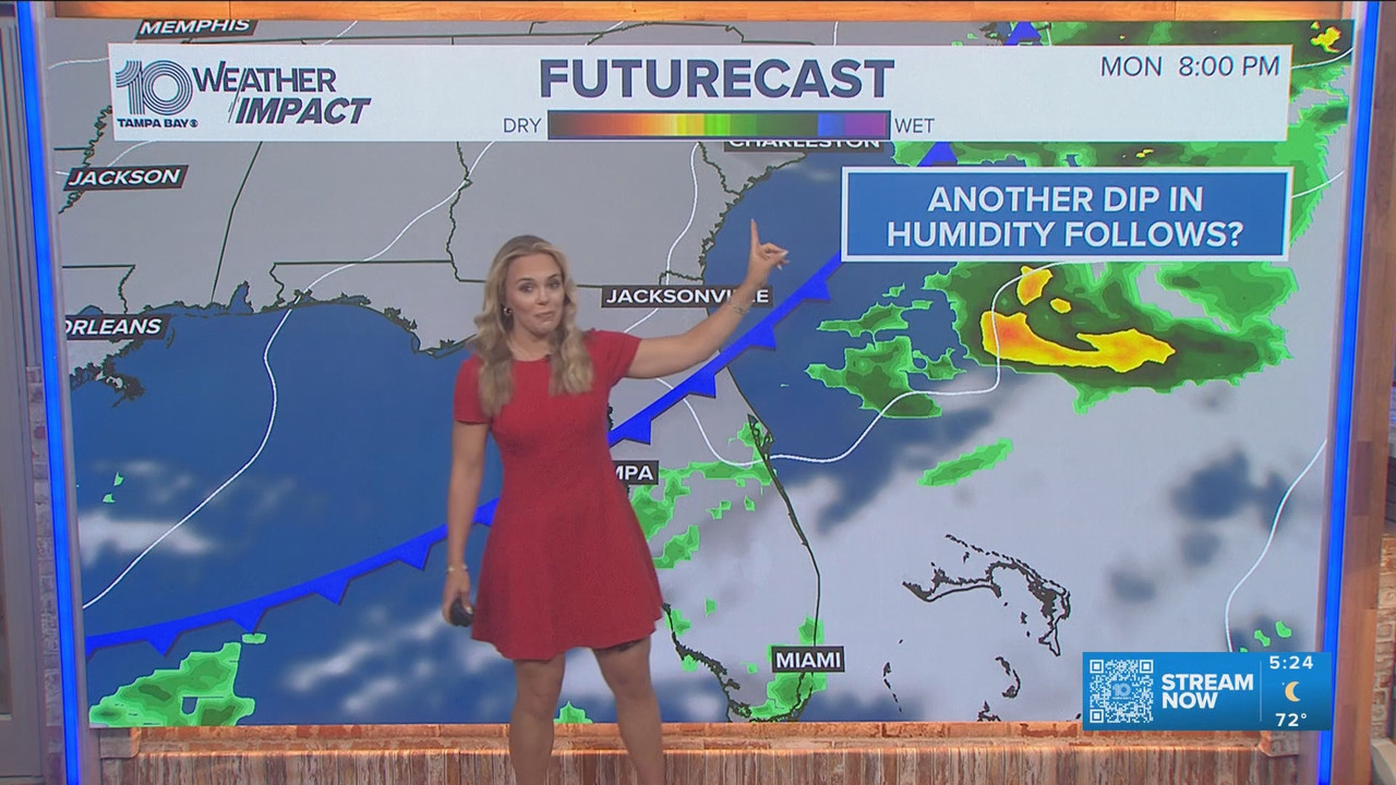 05 06 10 00 00 10 Tampa Bay News This Morning at 5 00 a m The AM ts snapshot 25 11 854