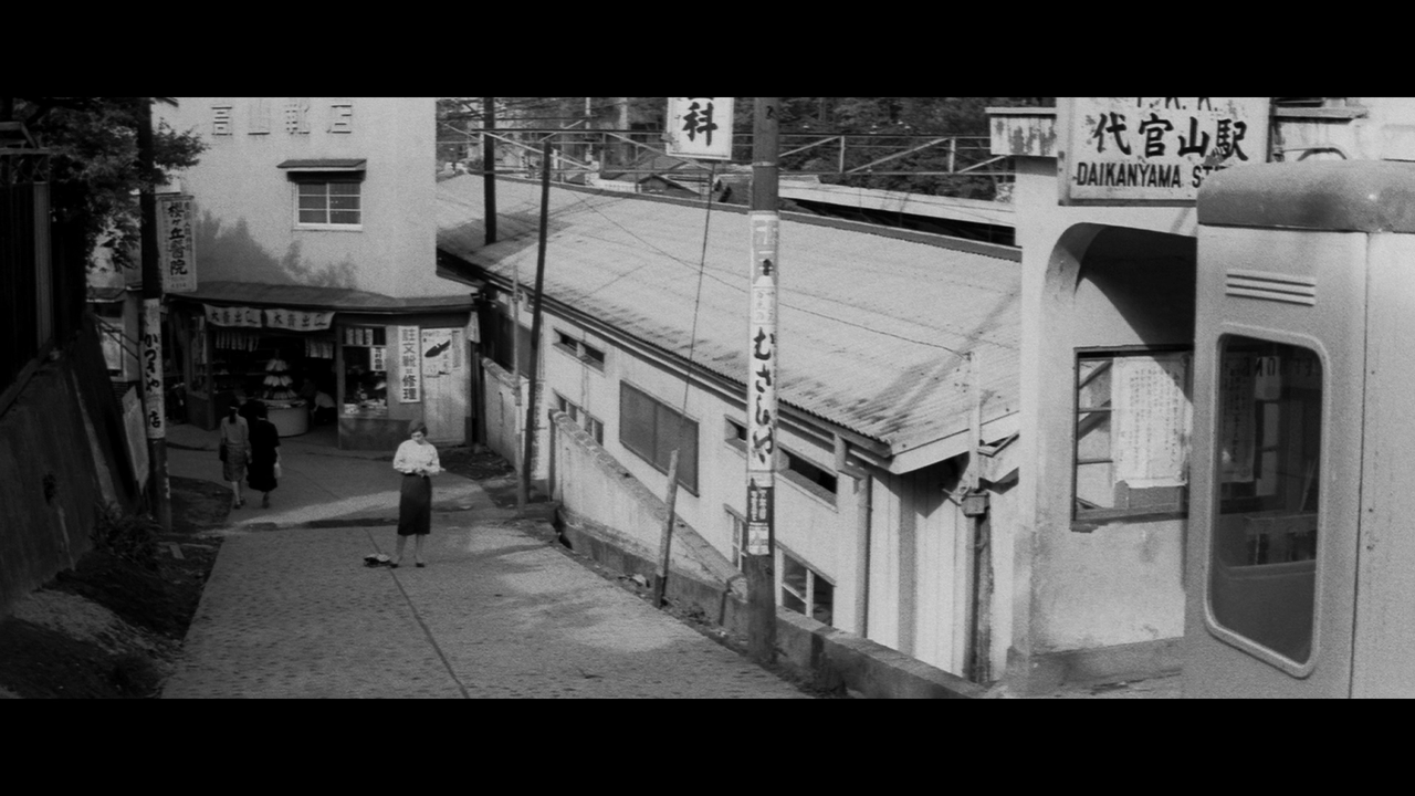 vlcsnap-2025-07-13-01h16m13s694