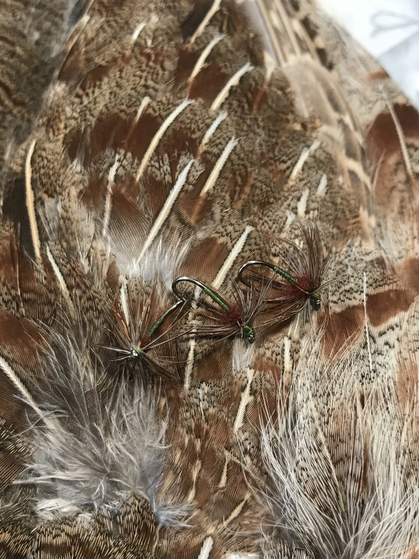 066516F2-6F0F-463F-8FC2-63BB5311430E