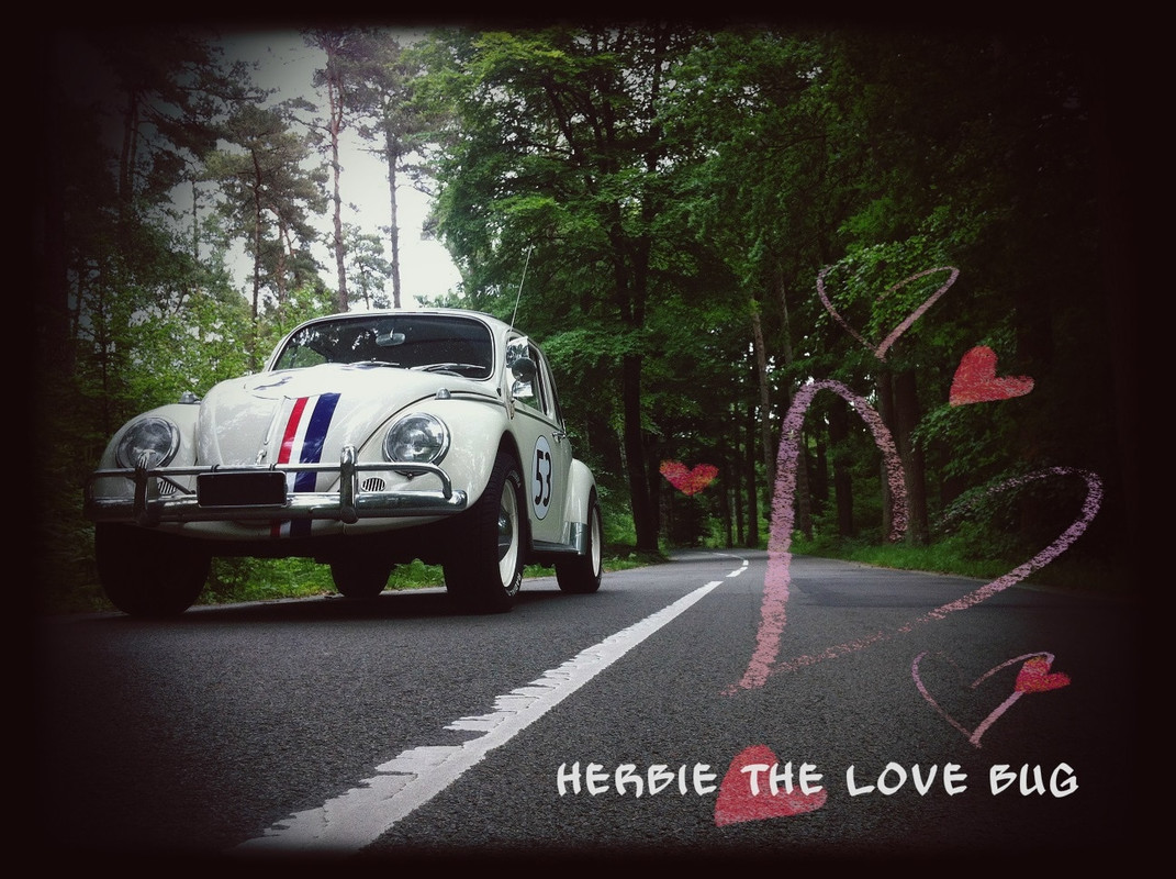 !cid_A1F453D0-CE8E-4E90-AB78-B11A9DA735A8,55 nov