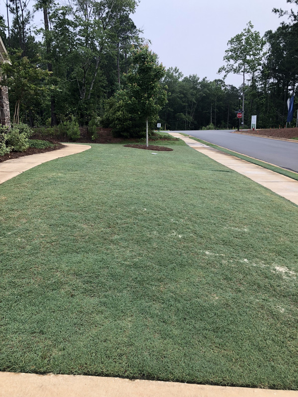 F33FD522-6188-4F54-8BF6-05576ACDD143