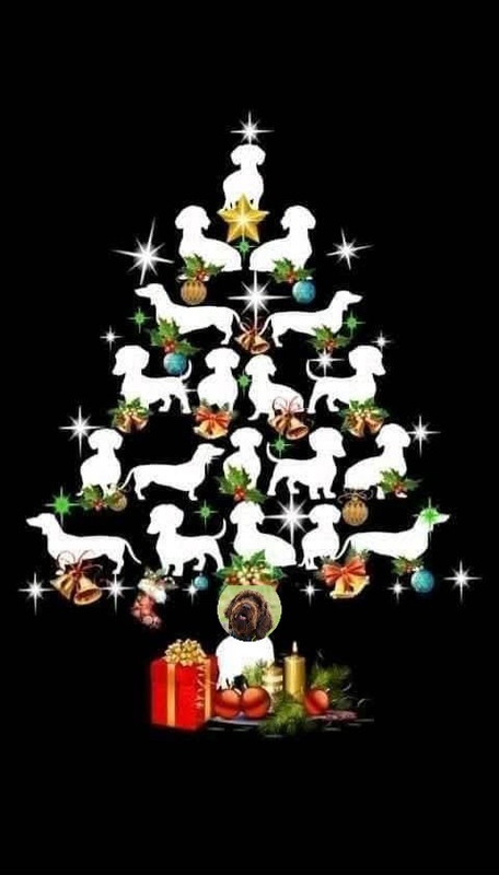 [Image: FB-IMG-1766497408810.jpg]