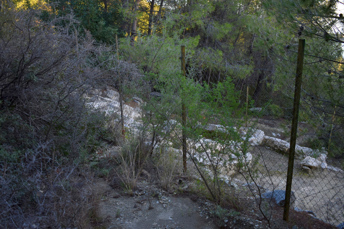 Ιερό του Διονύσου (1)