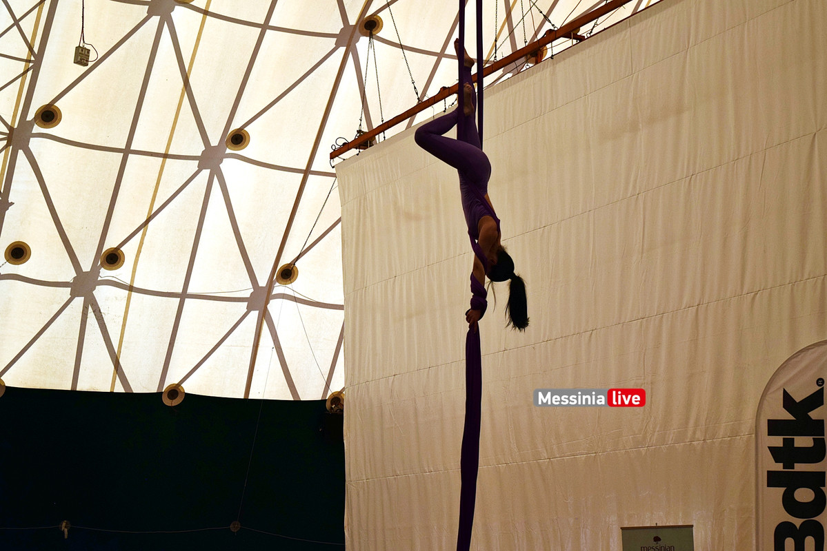 ΑΕΡΙΑΛDSC_0884