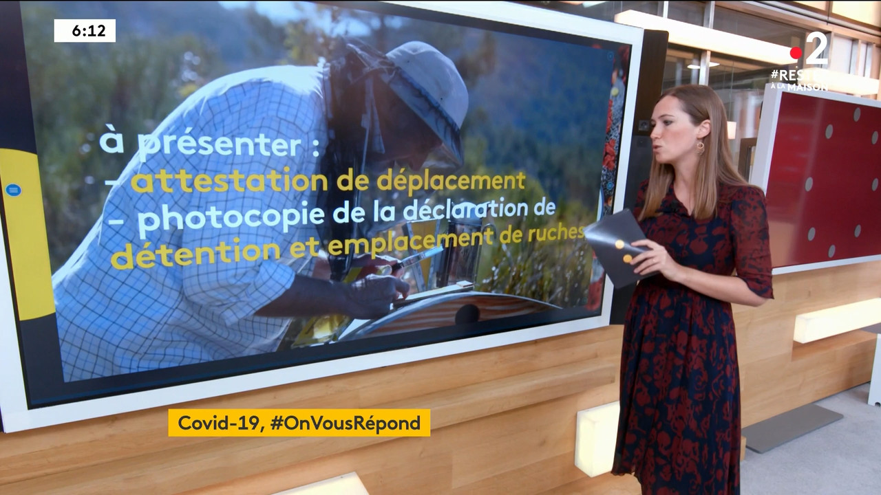 2020-04-09_06_00_Fr2_Le-6h-info.mp4_snapshot_17.32_[2020.04.19_22.50.59]