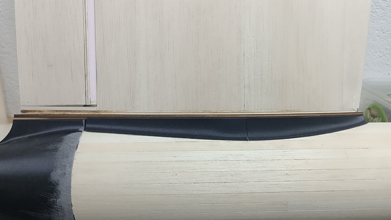 IMG_20241209_160258 (Medium)