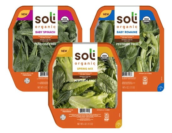 Revitalize Your Palate: Score a FREE Soli Organic Salad at Target with Exclusive Rebate Revitalize Your Palate: Score a FREE Soli Organic Salad at Target with Exclusive Rebate