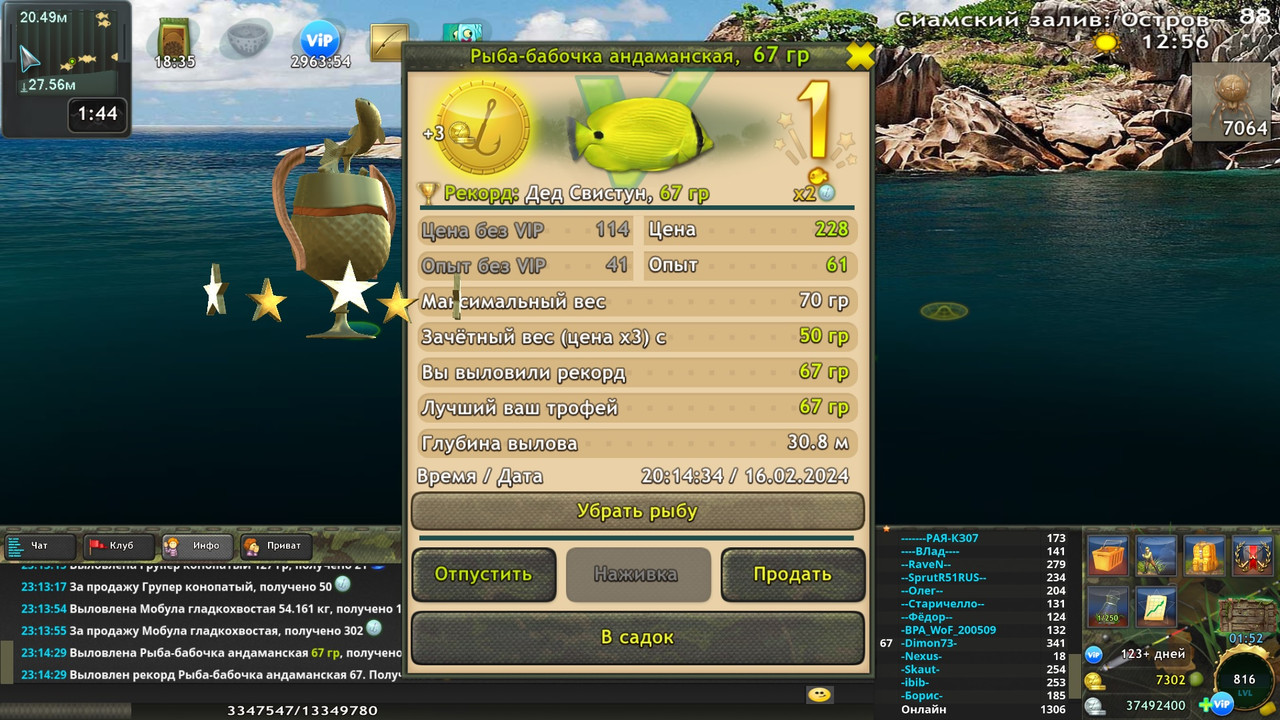 Рыба-бабочка андаманская