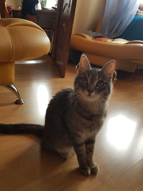 8F070C64-44F9-4BDE-B38A-3A8328424BA9