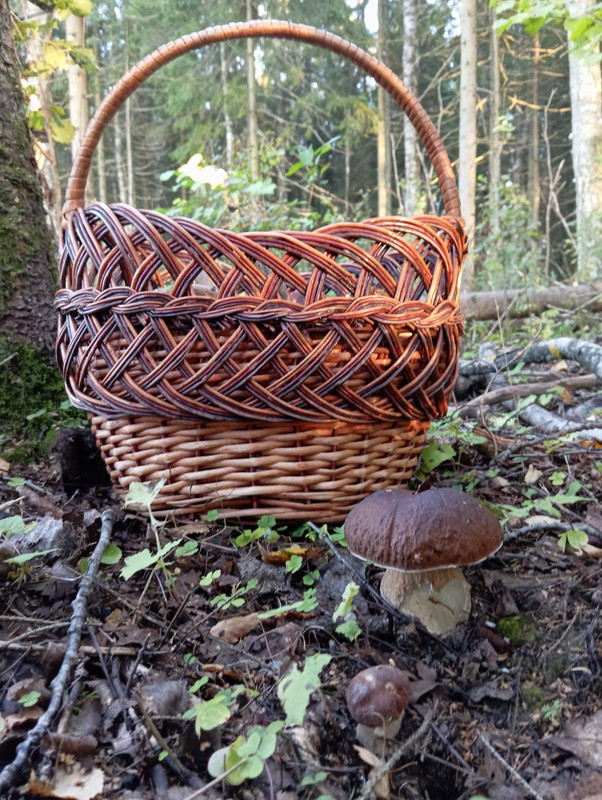 WhatsApp Image 2023-09-09 at 19.34.20 (1)