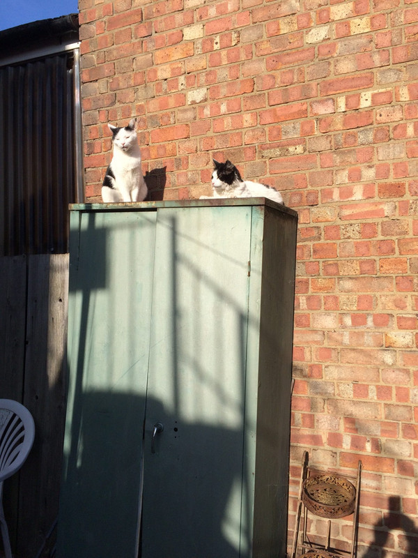 28D41191-A813-4CA6-A549-4B1F9B13C169