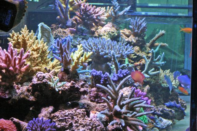 92B92236-4898-43C3-9B8E-324377E191F3