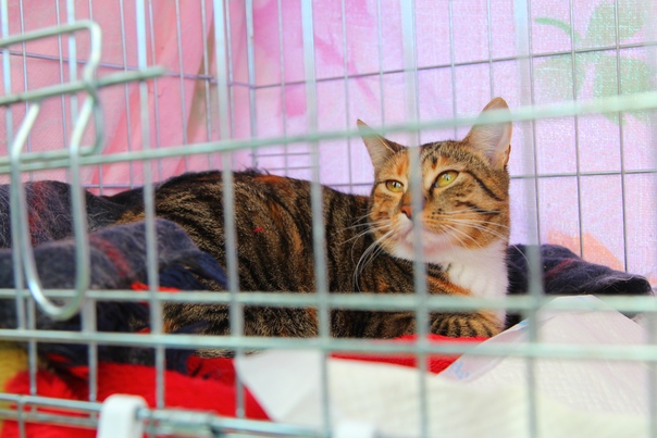 CF0115C1-4447-4627-AB3E-AE0A40567239